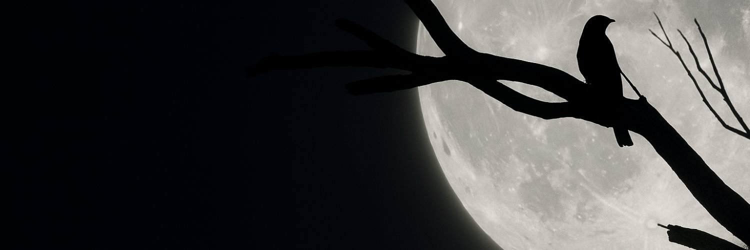 theagonal's profile banner image