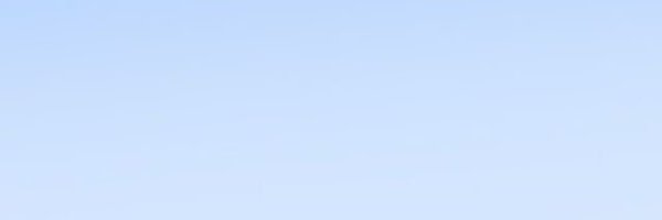 YW012311 Profile Banner