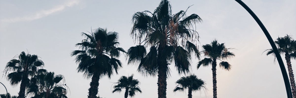 saraa_graa's profile banner image