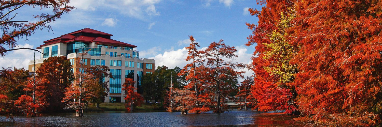 University of Louisiana Monroe's banner