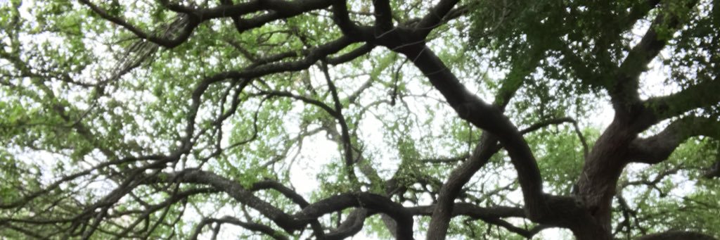 ferviquez's profile banner image