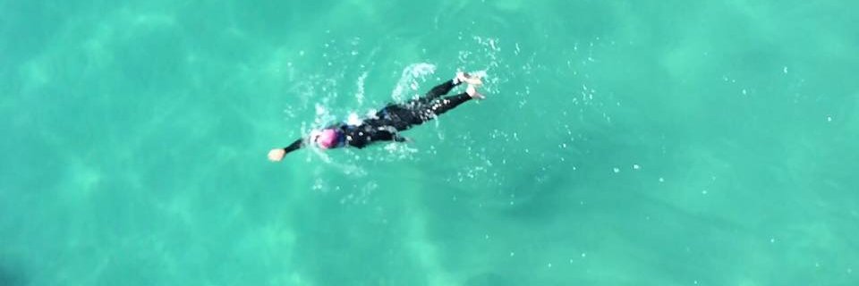 Jared Cassidy banner