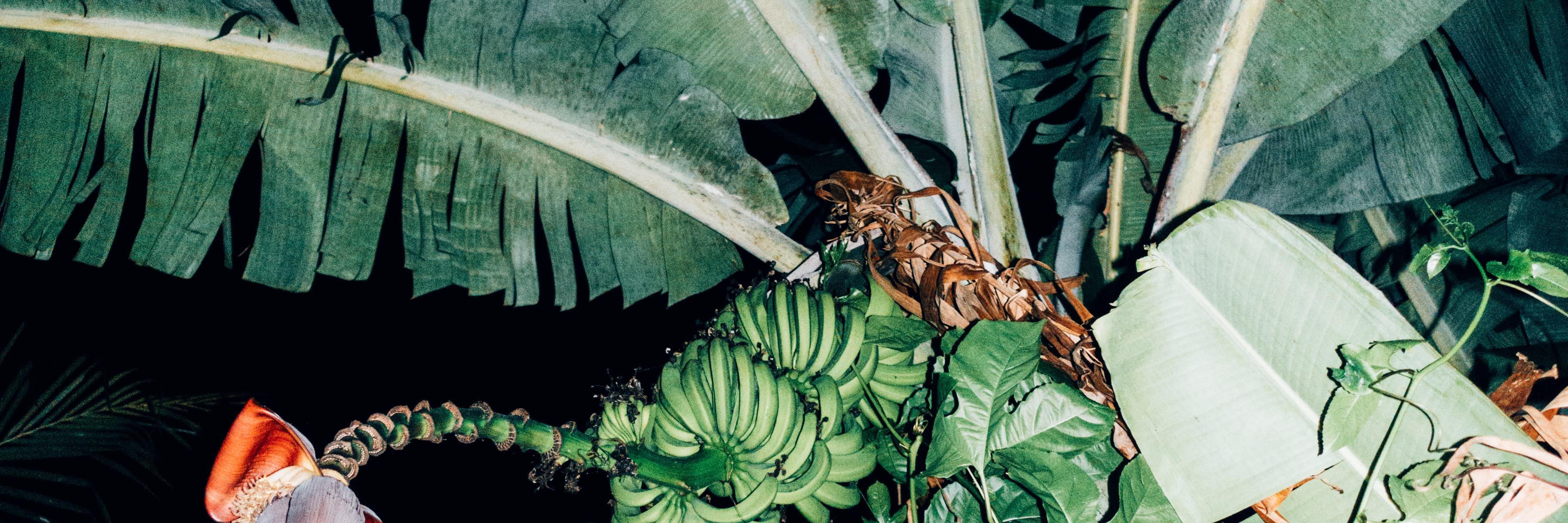 becky_fuchs's profile banner image