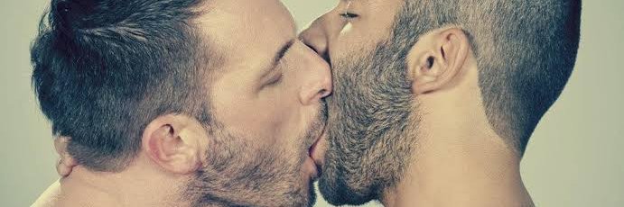 Gaybees banner