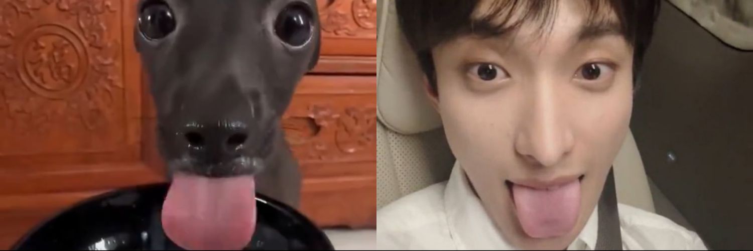 gin 👩🏻‍🌾 banner