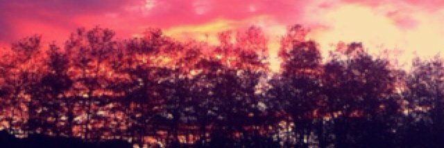 liuska05's profile banner image