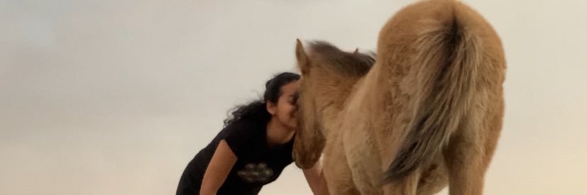 RoNavarro99's profile banner image