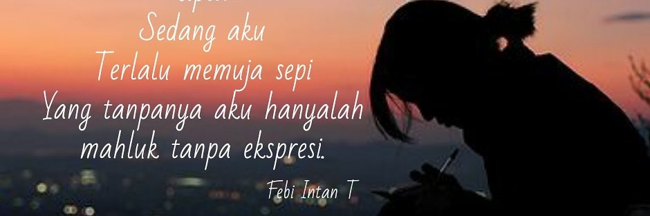 febiintan's profile banner image
