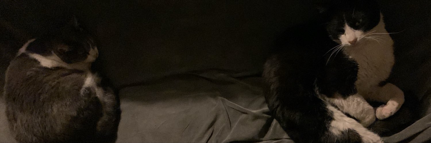 Moisesfxs's profile banner image