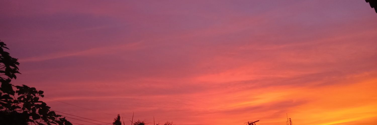 TichaUNC's profile banner image