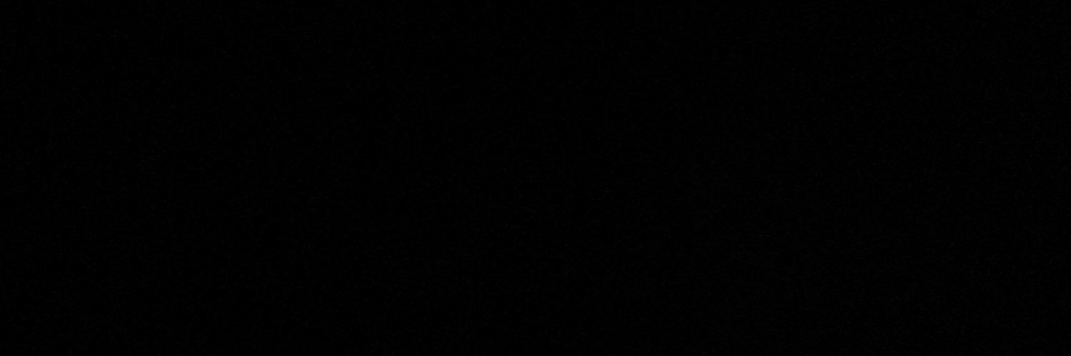 RT0497's profile banner image
