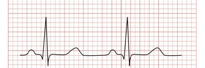 Francisco Díaz MD 🧬 banner