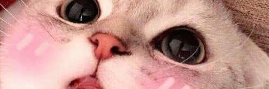 pokk23's profile banner image
