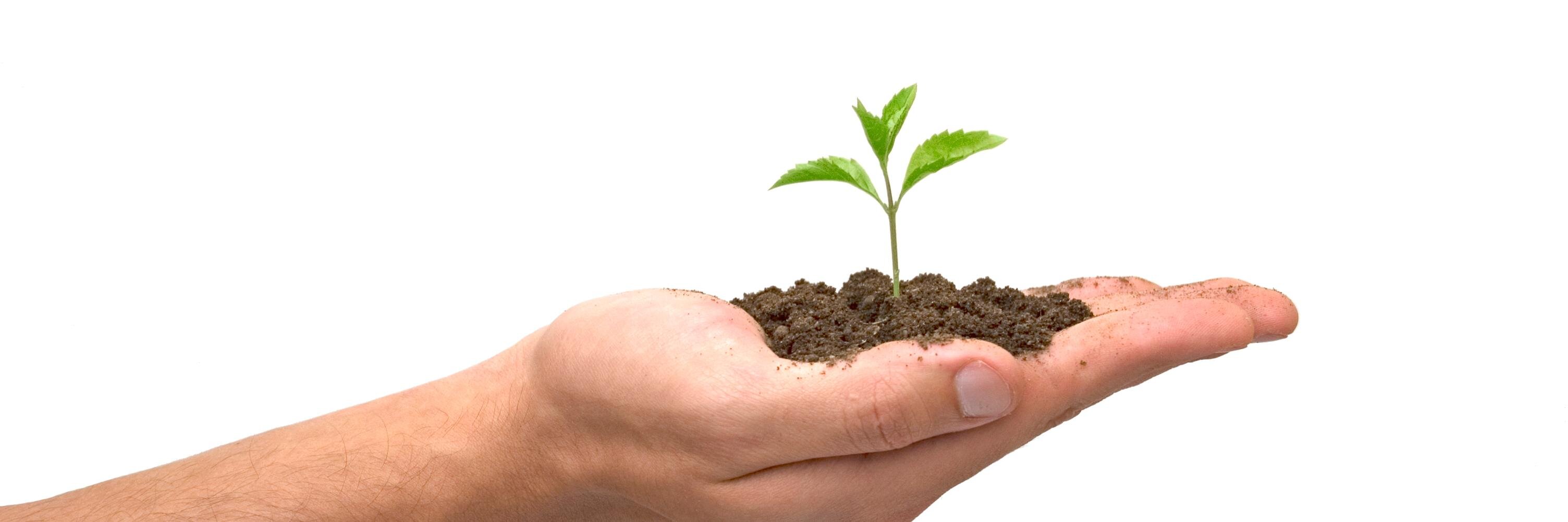 Biofinch Composting banner