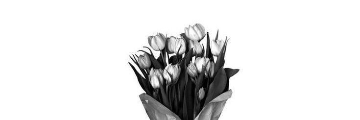 :- banner