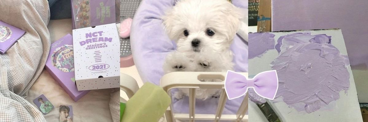 belle banner