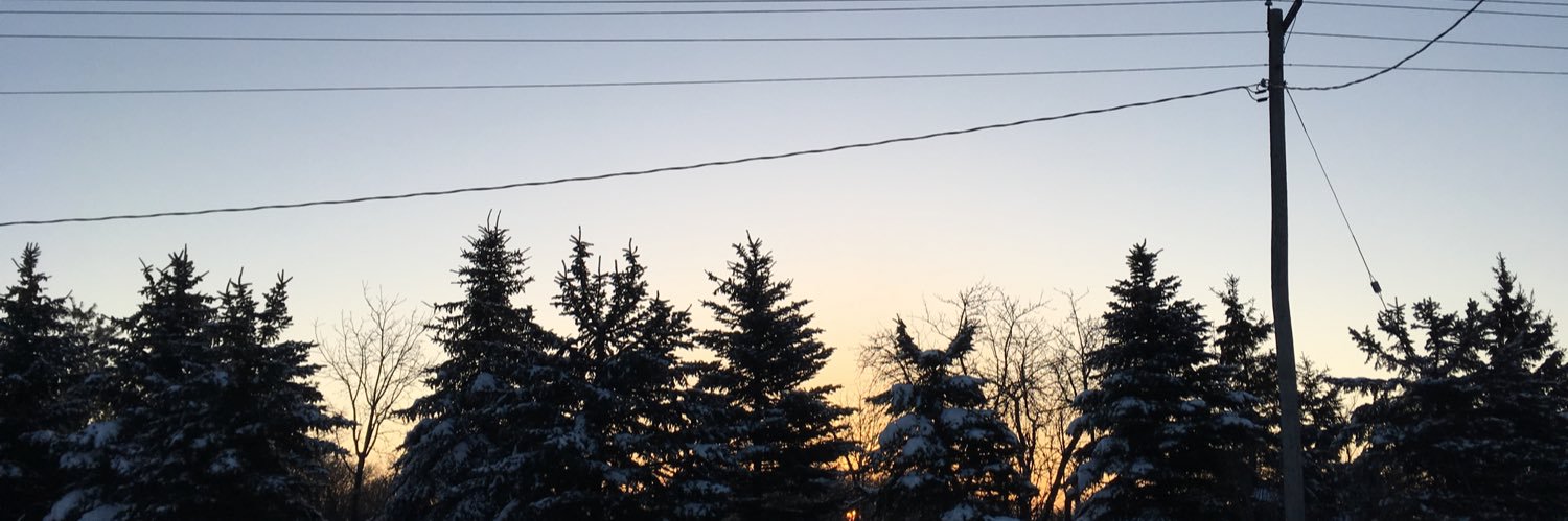 Steelysloss17's profile banner image