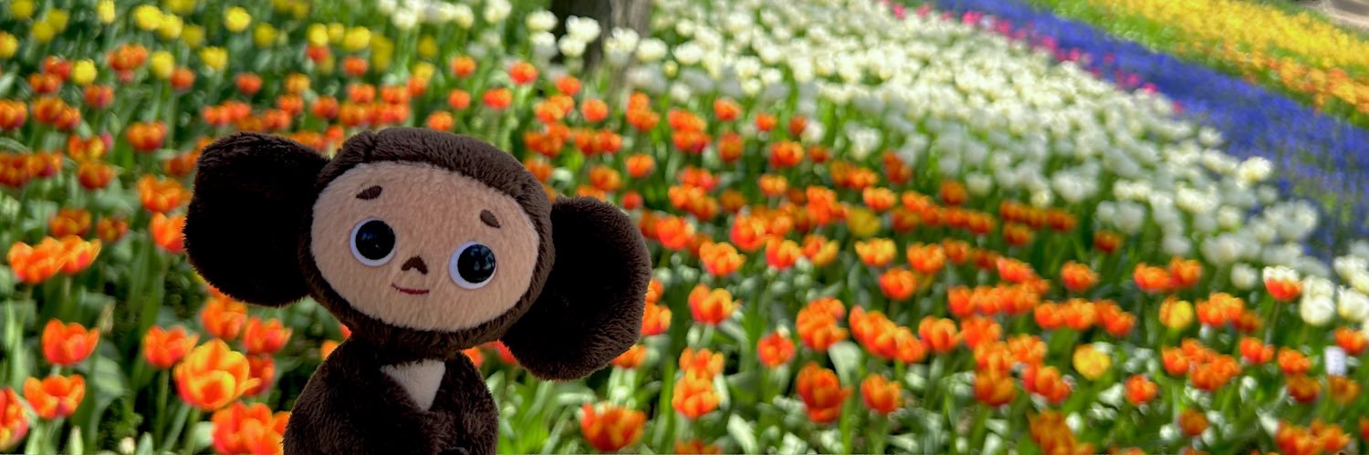 こっちの名前を変えればいいのか！💡 banner