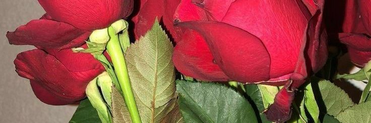Nanunana_'s profile banner image