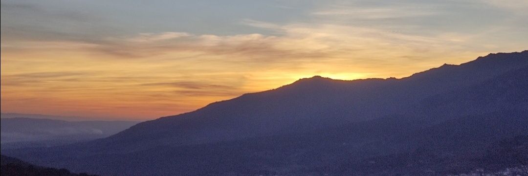 𝔻𝟛𝕚𝕧𝕚𝕕 ✨🦋🎶 banner