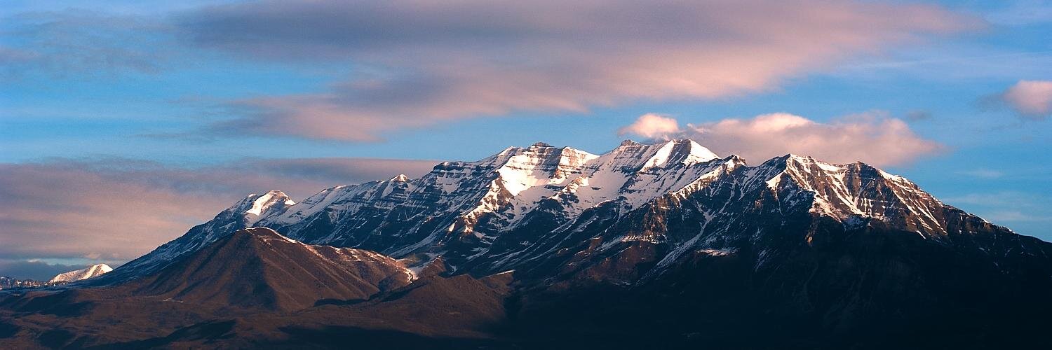 Logan Molyneux banner