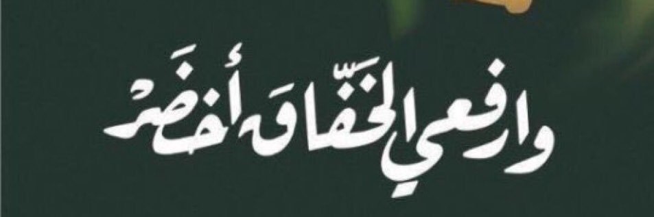 نبض🇸🇦🐪🐪🐪 banner
