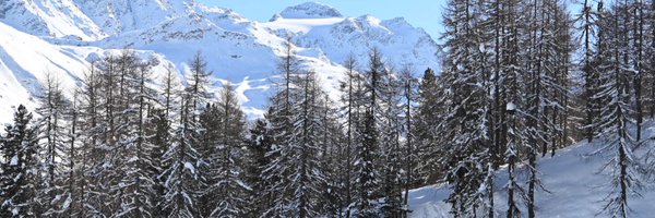 knezovjb Profile Banner