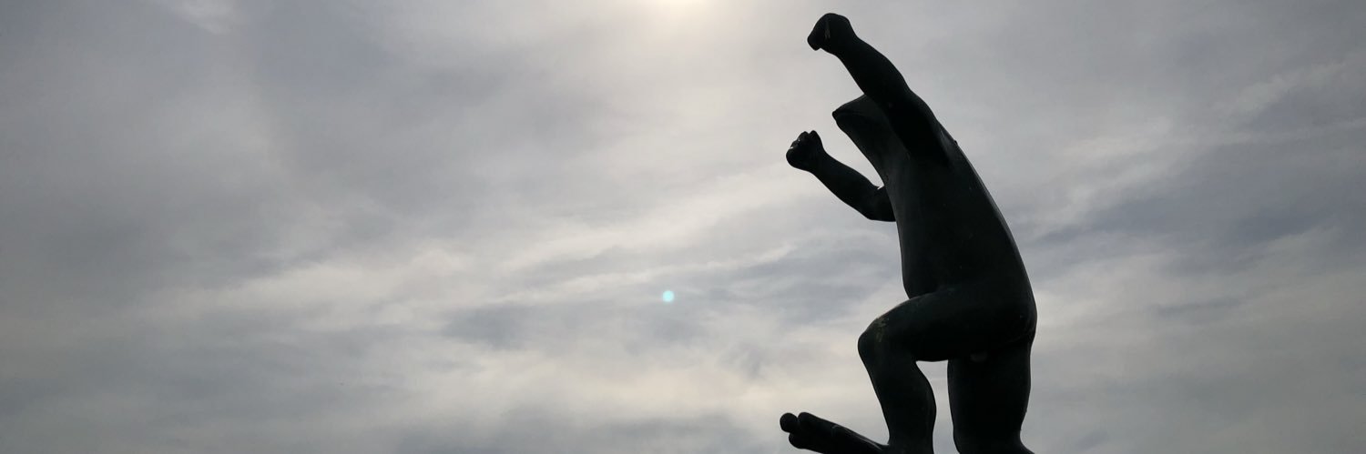 hanagedeteruman's profile banner image