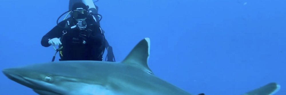 Iván Álvarez banner