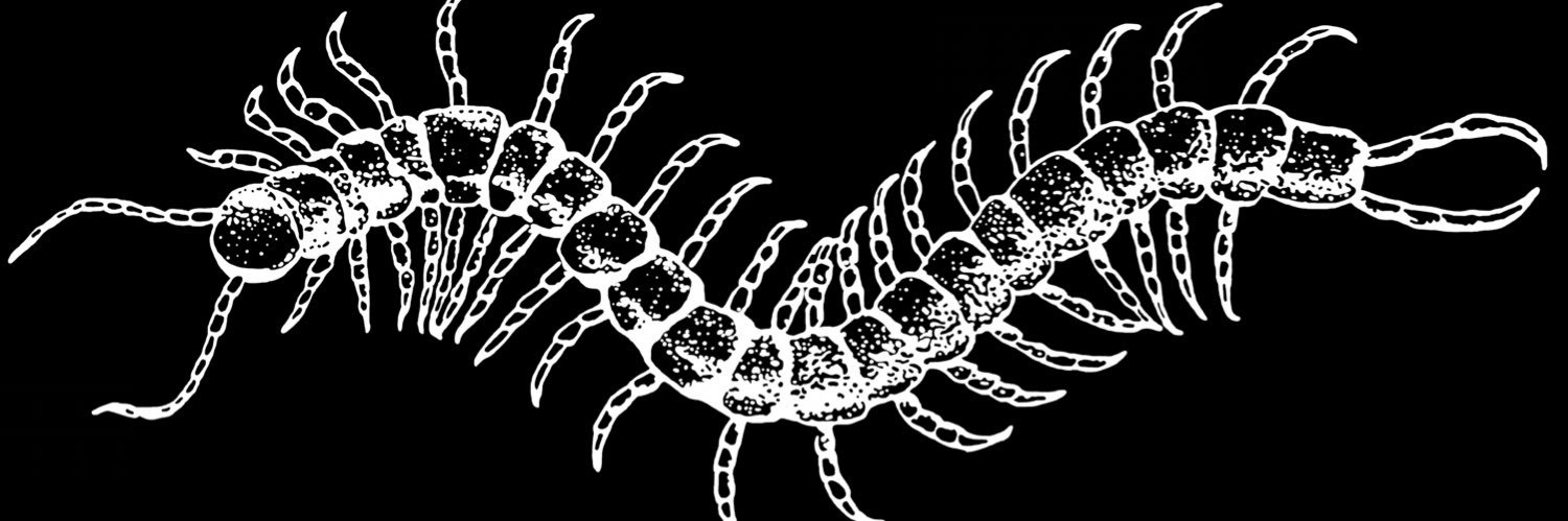 saktisatrio's profile banner image