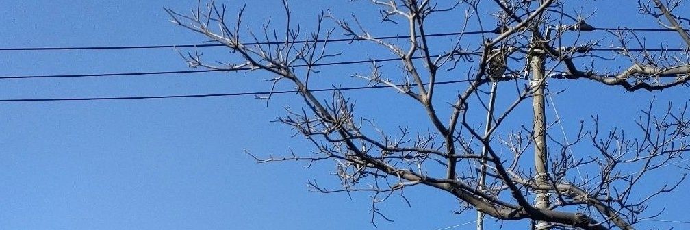 田中カタパルト banner