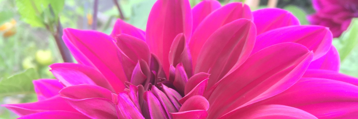 _SioRing's profile banner image