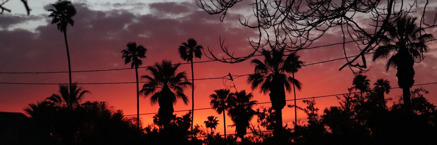 Roger Taylor III banner