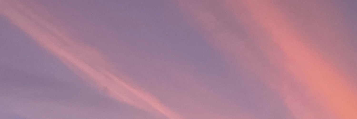 evyjaane's profile banner image