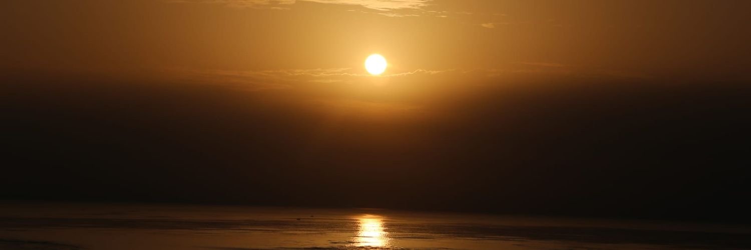 vrinss's profile banner image