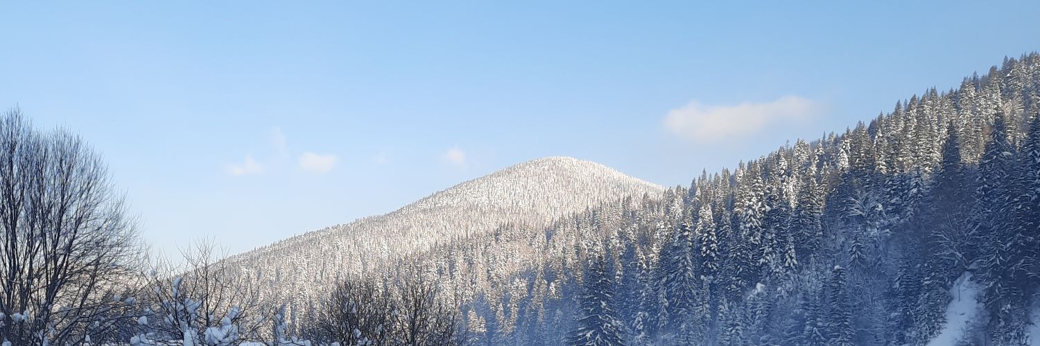 Adrentropy banner
