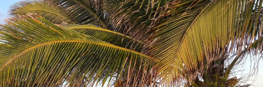 DeqaJJ's profile banner image