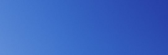 volo's banner