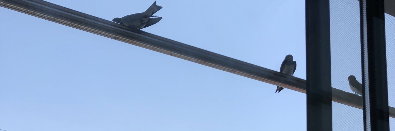 kousyuu_s's profile banner image