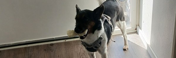 ilonademunck Profile Banner