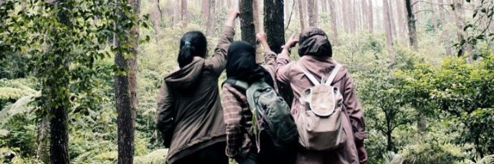 fujayfujii's profile banner image