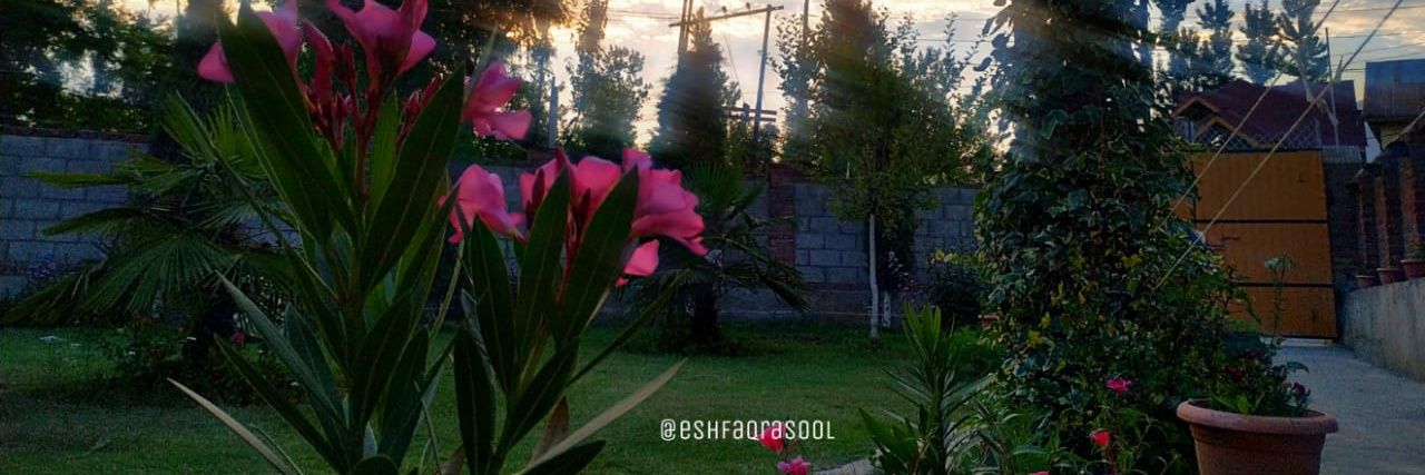 mr_yasirrasool's profile banner image
