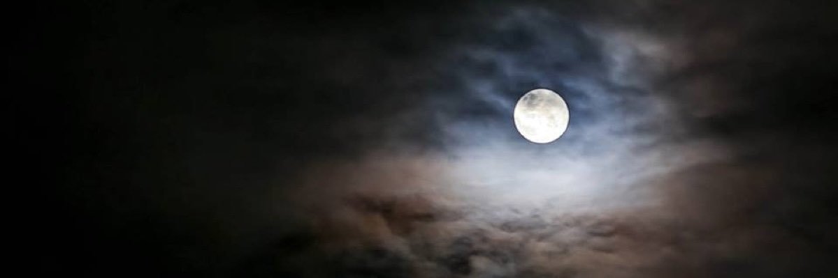 troyology's profile banner image