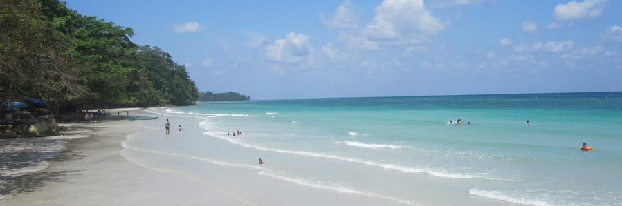 Astrid Louhenapessy banner