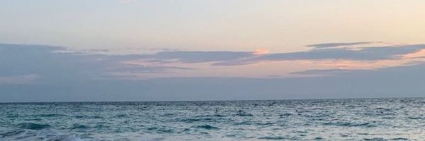 feelingydiary Profile Banner