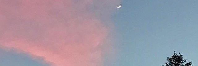 honeystal's profile banner image