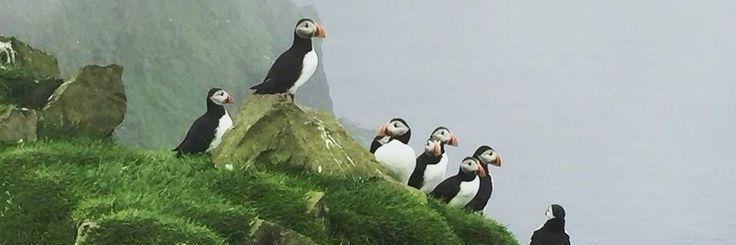 ابـن عـبـد الـرزاق banner