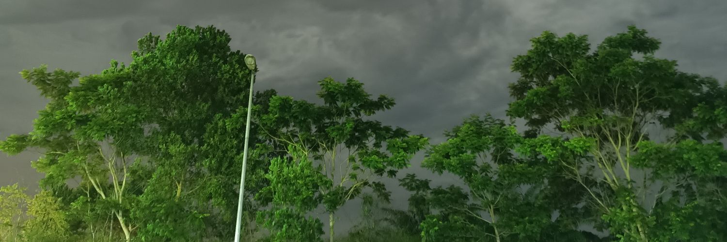 ki_trad's profile banner image