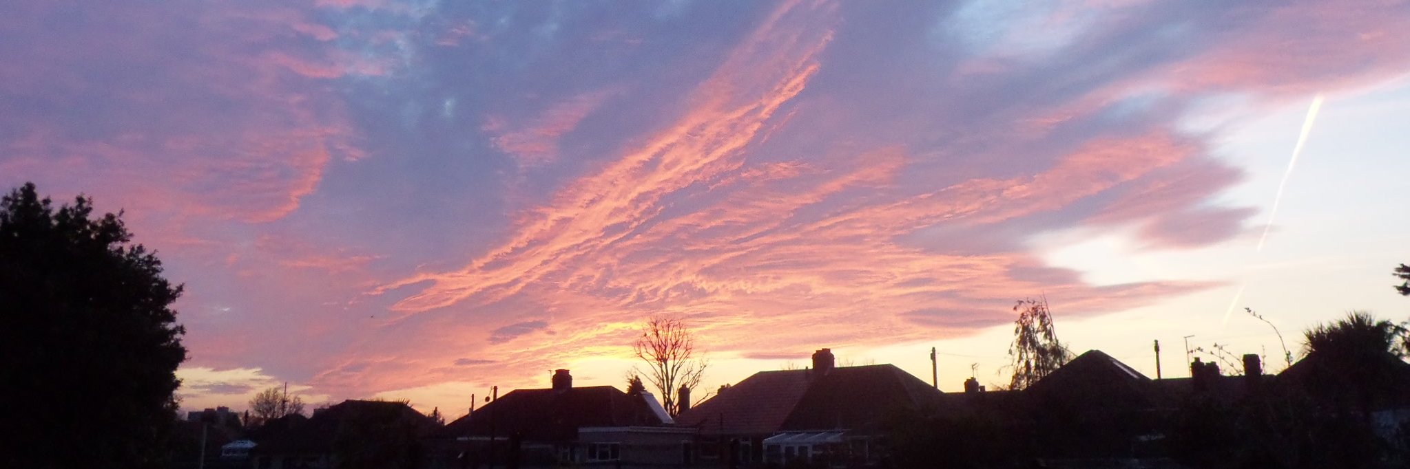 Brian Spurrell 💙 🇬🇧🇪🇺 banner