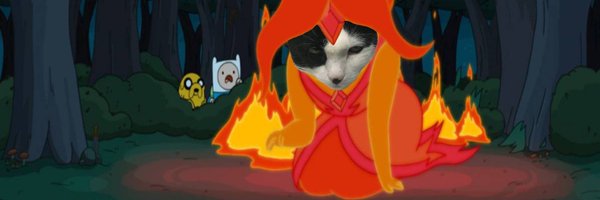 sweetfirecat Profile Banner